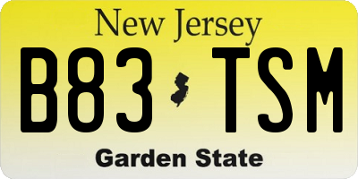 NJ license plate B83TSM