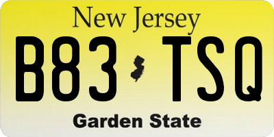 NJ license plate B83TSQ