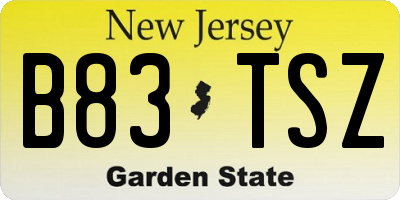 NJ license plate B83TSZ