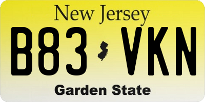 NJ license plate B83VKN