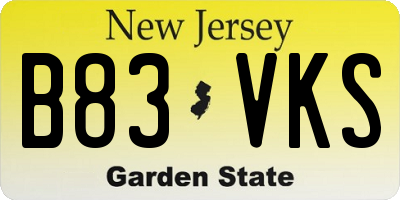 NJ license plate B83VKS