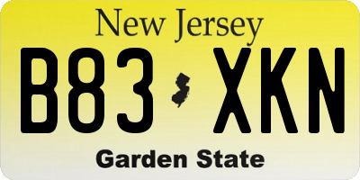 NJ license plate B83XKN