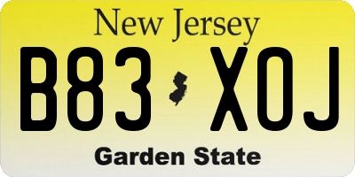 NJ license plate B83XOJ