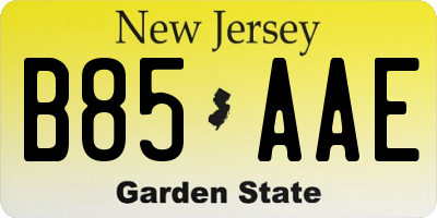 NJ license plate B85AAE