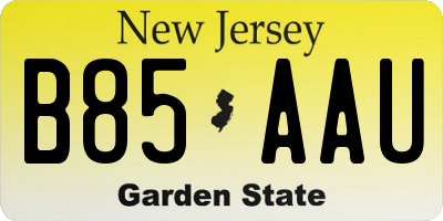 NJ license plate B85AAU