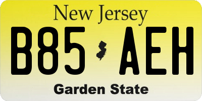 NJ license plate B85AEH