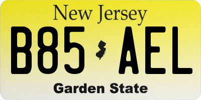 NJ license plate B85AEL