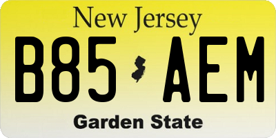 NJ license plate B85AEM