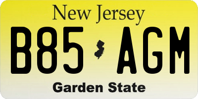 NJ license plate B85AGM