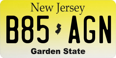 NJ license plate B85AGN