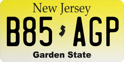 NJ license plate B85AGP