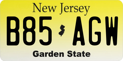 NJ license plate B85AGW