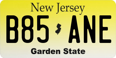NJ license plate B85ANE