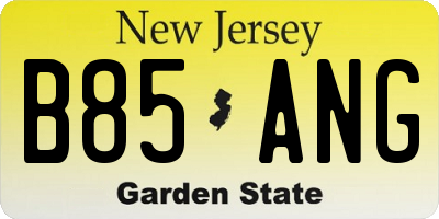 NJ license plate B85ANG