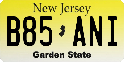 NJ license plate B85ANI