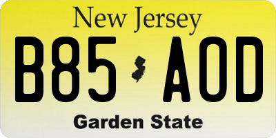 NJ license plate B85AOD