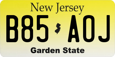 NJ license plate B85AOJ
