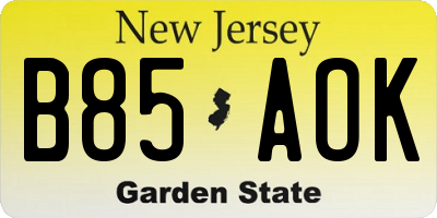NJ license plate B85AOK