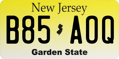 NJ license plate B85AOQ