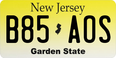 NJ license plate B85AOS