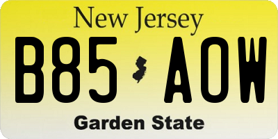 NJ license plate B85AOW