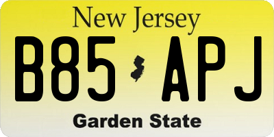 NJ license plate B85APJ