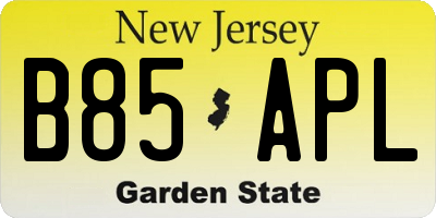 NJ license plate B85APL