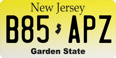 NJ license plate B85APZ