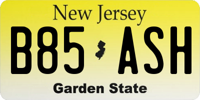 NJ license plate B85ASH
