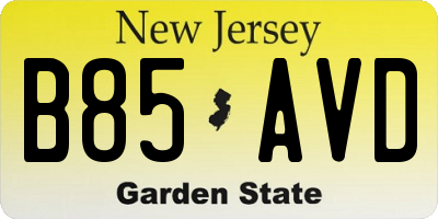 NJ license plate B85AVD