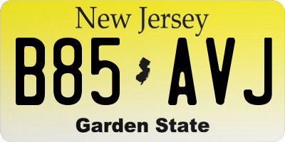 NJ license plate B85AVJ