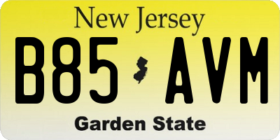 NJ license plate B85AVM
