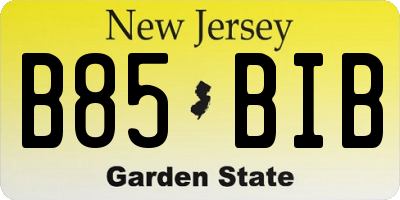 NJ license plate B85BIB