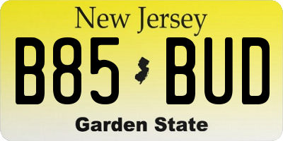 NJ license plate B85BUD