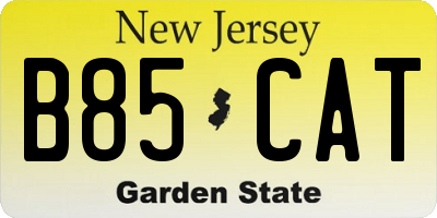 NJ license plate B85CAT