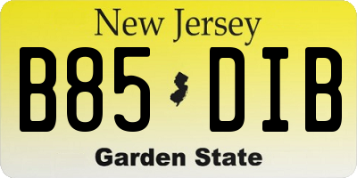 NJ license plate B85DIB