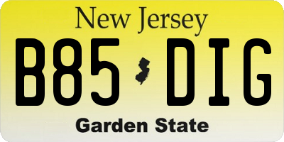 NJ license plate B85DIG