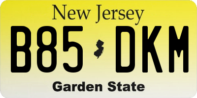 NJ license plate B85DKM