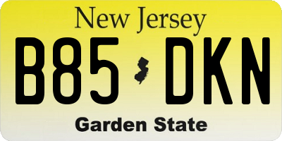 NJ license plate B85DKN