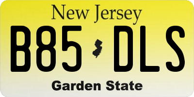 NJ license plate B85DLS