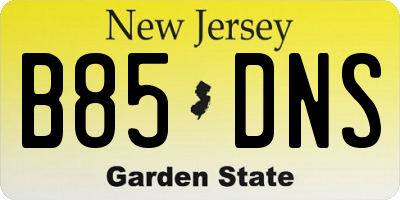 NJ license plate B85DNS
