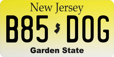 NJ license plate B85DOG