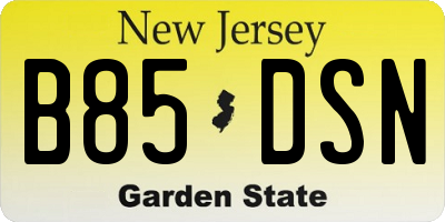 NJ license plate B85DSN