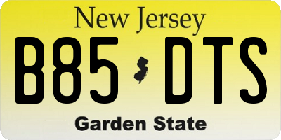 NJ license plate B85DTS