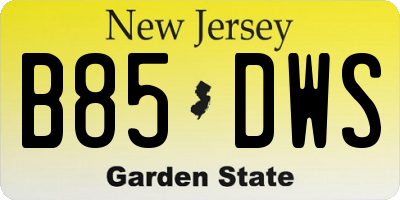 NJ license plate B85DWS