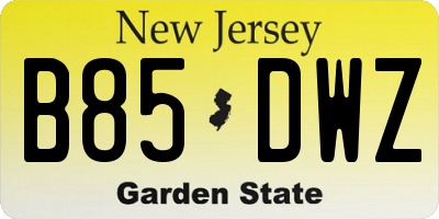 NJ license plate B85DWZ