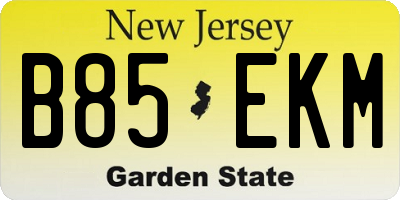 NJ license plate B85EKM