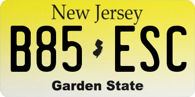 NJ license plate B85ESC