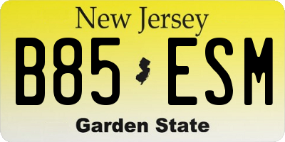 NJ license plate B85ESM