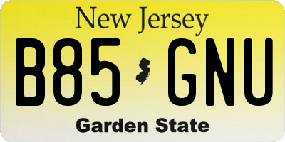 NJ license plate B85GNU